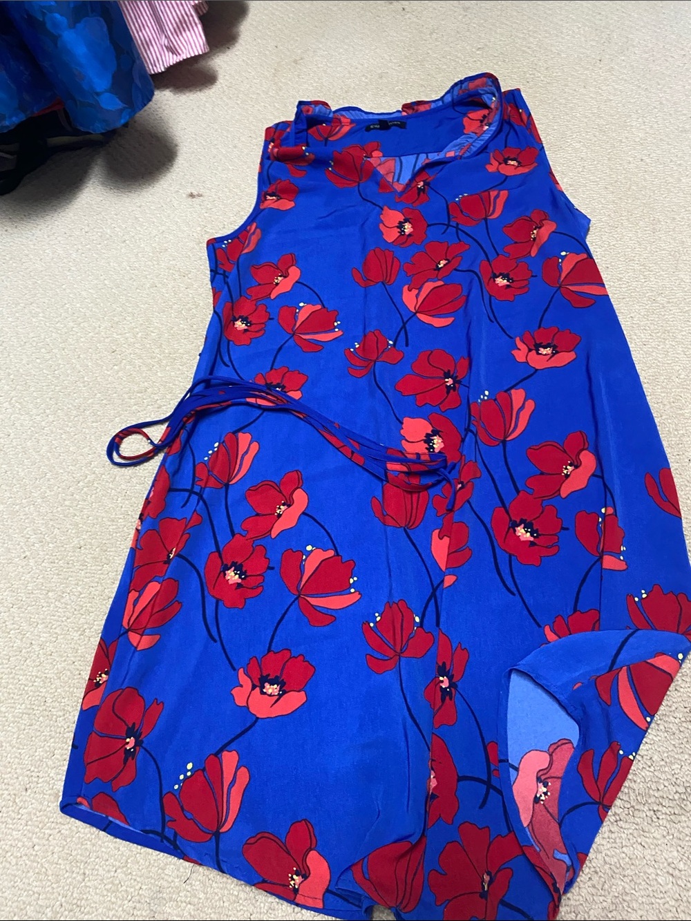 41 Hawthorn Blue Mini Skirt with Red Floral Print
